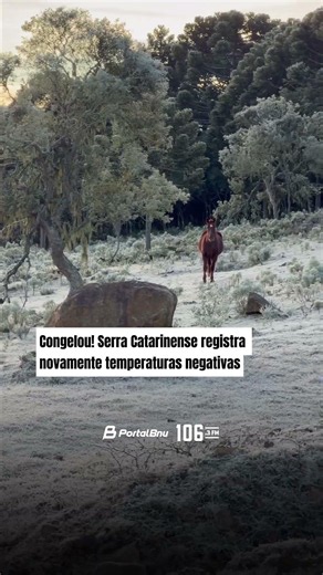 Os registros são de Jefferson Rech.