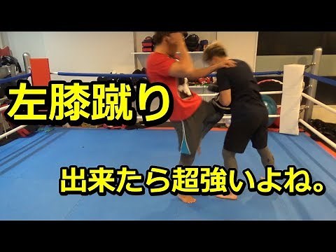 【キックボクシング】左膝蹴りを当てるポイントを解説！