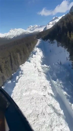 Icefields Parkway Avalanche - March 2026