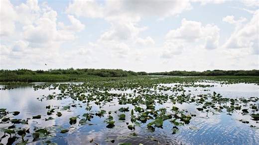 Who are Florida’s largest landowners? The top private landowner owns up to 679,000 acres