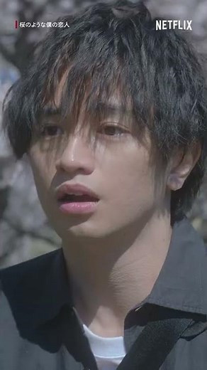 中島健人・松本穂香 -満開の桜の下で見せた晴人の本気 | 桜のような僕の恋人 | Netflix Japan