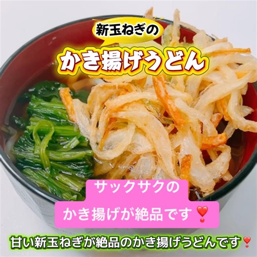 新玉ねぎのかき揚げうどんです❣️甘い新玉ねぎのかき揚げが絶品です😋 #新玉ねぎのかき揚げうどん #新玉ねぎ #かき揚げうどん #かき揚げ #おいしい