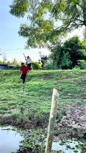 #LIVEIncentiveProgram #LIVEFEST2026 #MakeLIVECount #PaidPartnership