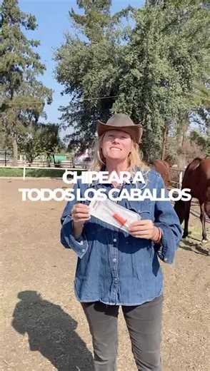 El Servicio Agrícola y Ganadero estableció la obligación de identificar con microchip a todos los equinos en centros ecuestres. El plazo para cumplirlo fue marzo de este año; los predios de producción tienen hasta agosto. El procedimiento lo realiza un veterinario certificado por el SAG. El chip se implanta con una jeringuilla en la zona del ligamento nucal y queda legible con una chipeadora estándar. El número que entrega ese chip debe registrarse en la plataforma web del SAG. El objetivo es te