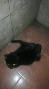 13 reactions · 45 shares | Caso Externo AYUDA URGENTE  Nos...