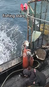 fishing stars 🦑🦑🦑 #fishing | نجوم الصيد