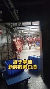 秦川牛肉已到店，家人们快来尝鲜！！！#文爆爆居民楼牛肉火锅 #胸口油 #潮汕牛肉火锅 #湘江世纪城美食 #鲜牛肉