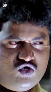 #Andarivaadu Movie Comedy Scenes | #chiranjeevi #tabu #venumadhav #msnarayana #prakashraj #sunil