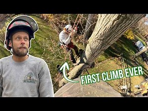 New Guy Climbs a Tree for the First Time (It’s Harder Than It Looks)