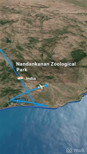 website name mult.dev go and create this type of animation video before your traveling journey.