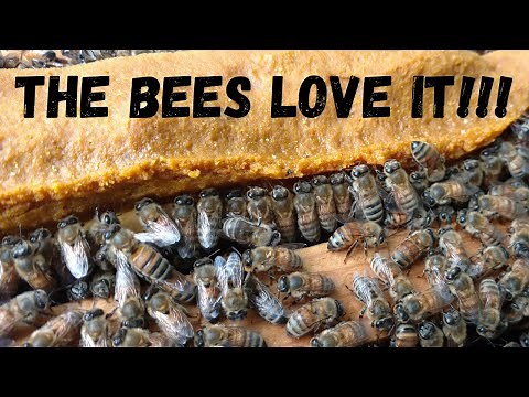 🔵Soft Ultra bee Patties. Recipe ratio and mixing tips!