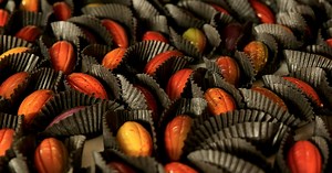 Minnesota-made bonbons win awards at international chocolate competition