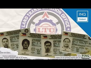 DOTr, LTO file raps vs 2 ‘BGC Boys’ over fake driver’s licenses | INQToday