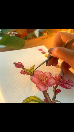 How to Paint a Watercolor Cherry Blossom | Day 7 of 20 Flower Challenge #watercolorfloral #painting