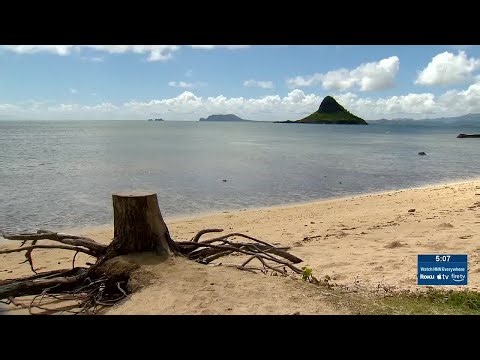 Emergency crews treat unresponsive man aboard a vessel off Kaneohe