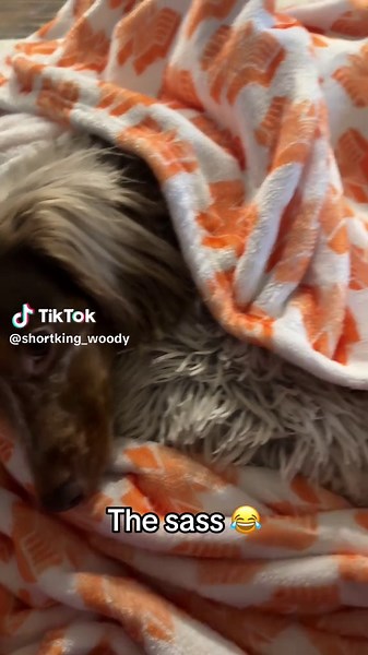 Woody's Adorable Snuggling Moment with His Toy