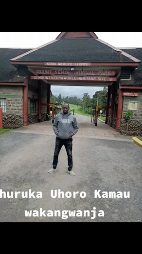 Exploring Mount Kenya National Park: A Visitor's Guide