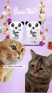 Panda Tea on Reels | Facebook