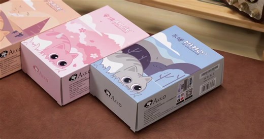 Wow, what a cute cat-themed mouse！#gamingmouse #akko #pcsetup #wirelessmouse