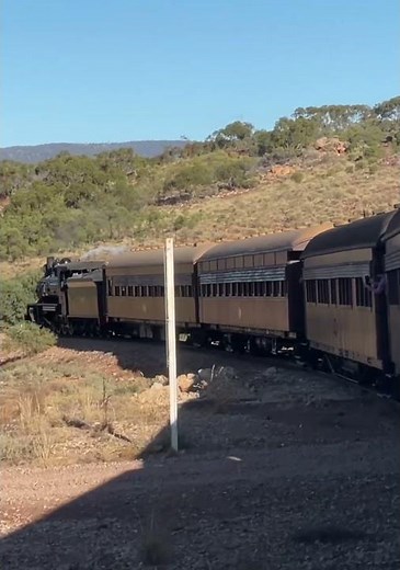 Riding the Pichi Richi Railway #trains #steamtrain