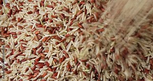 Video of pouring a mixture of organic Himalayan red rice with long grain brown rice onto a metal surface.
