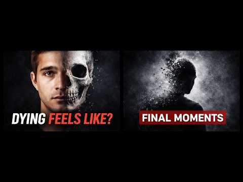 How It Feels to Die Scientifically Explained