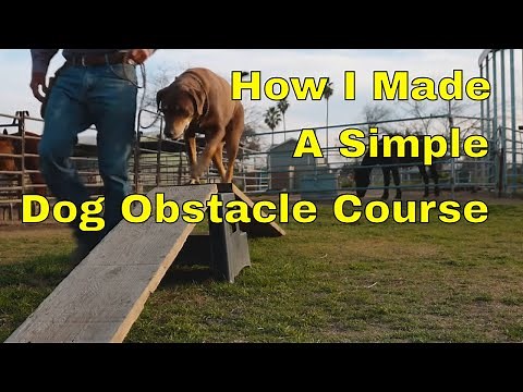 How I Made a Simple Dog Obstacle Course