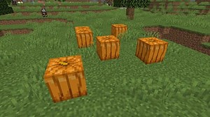How to Carve a Pumpkin in Minecraft