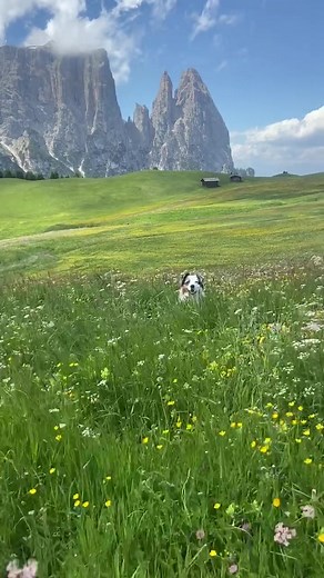 Exploring Seiser Alm: Camping Adventures in the Dolomites