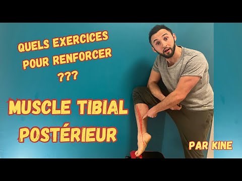 How to strengthen the TIBIAL POSTERIOR muscle?