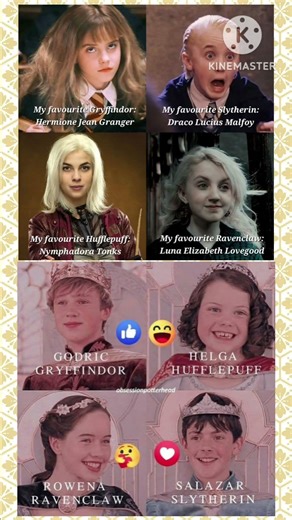 My Favourite Hogwarts Houses | Harry Potter Fandom Collage