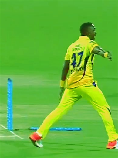 Top Excellent Direct Hit Runout Highlights in Cricket