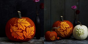 Give Basic Pumpkins an Entirely New Look with Nature-Inspired Patterns