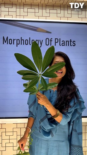 Divine Academy of Science on Instagram: "🌿 Types of Leaves Explained | Simple & Compound Leaves with Examples | Class 11 & 12 Biology | NEET 🌿 In this video, Nandini Ma’am explains the Types of Leaves in Biology with the help of real-life examples. Students will clearly understand the difference between Simple Leaves & Compound Leaves along with their types. ✨ This video is very useful for: ✅ Std 11 & 12 Biology (GSEB & CBSE) ✅ NEET & Board Exam Preparation ✅ Quick Concept Clarity with Demonst