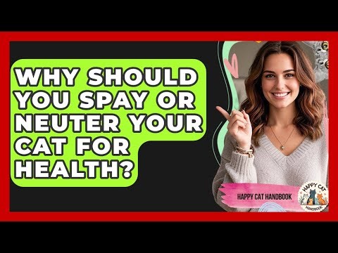 Why Should You Spay Or Neuter Your Cat For Health? - Happy Cat Handbook