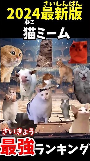 2024最新版猫ミーム最強ランキング#short