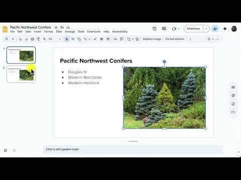 Setting the Reading Order in Google Slides