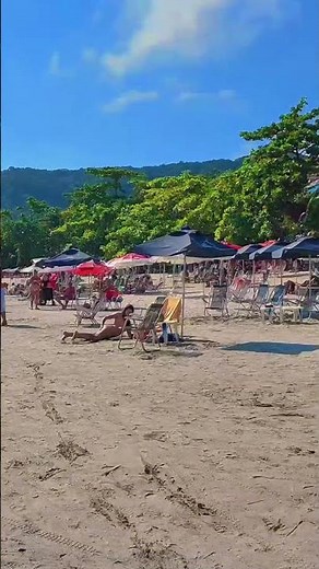🌴 AMAZING BEACH 🏖️ Coast of São Paulo, Brazil #shorts