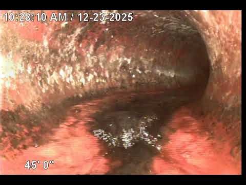 user mpeg4 2025 12 23 10 26 23