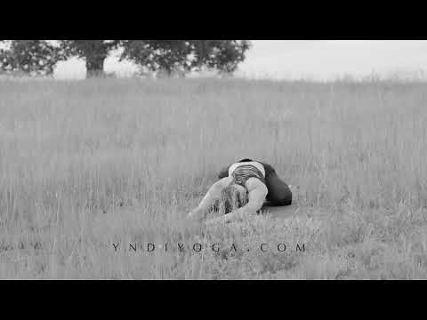 PBS Season 1: YNDI Restore