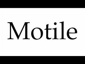 How to Pronounce Motile