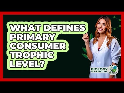 What Defines Primary Consumer Trophic Level?