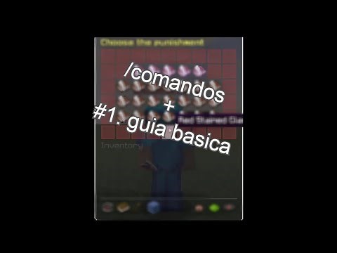 Comandos y guía básica de staff | Tutorial