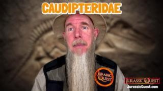 Is that a chicken? No! It's Caudipteryx, today's #FossilFriday Dinosaur, presented by #ParkRangerMarty! #Fossil #Friday #STEM #STEAM #China #Dinosaur #Science | Jurassic Quest