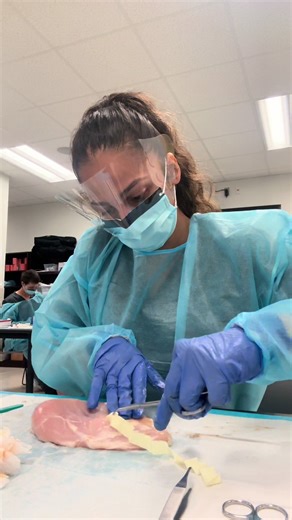 Welcome to Advanced Clinical Procedures! So far this week we have done abscess I&D, epistaxis management, chest tube placement, needle decompression, ABGs, punch/shave biopsy, placing staples and steri strips!