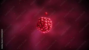 Cellular Division and Growth of Some Cell-Like Lifeform. Cell Mitosis. 3D Computer Generated Animation Of Mitosis, Cells Duplicating, And Multiplying, At Extreme Magnification. The Depth of Field.