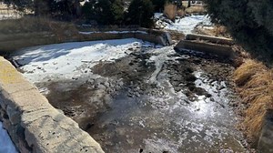 Historic Lily Ponds in City Park gets an upgrade from volunteers