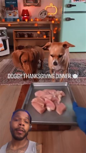 THE EATERTAINMENT NETWORK 🤩🍴🔥 on Instagram: "Doggy Thanksgiving Soulfood Dinner Reaction Video With My Dog 🐶🍽️😭🔥 #BlessThaBelly #InstaGood #Dog #Dogs #dogsoﬁnstagram #Dinner #Thanksgiving #Reels #Reel #Explore #ExplorePage #Food #DogFood"