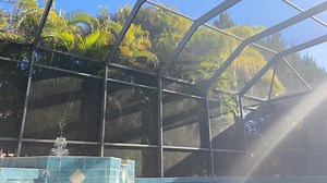 Fountain, Pool, Tree. Free Stock Video