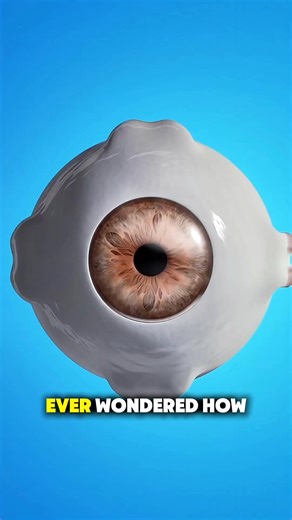 32K views · 214 reactions | "How Cataract Eye Surgery Is Done | Clear...